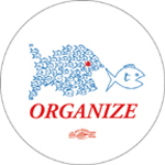 Organize